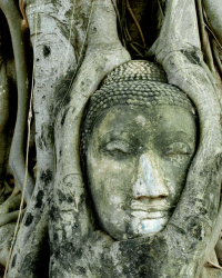 Taller de Decodificación Bioemocional